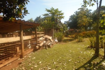 Chácara para Venda no bairro Parada de Engenheiro Coelho SP – 00512